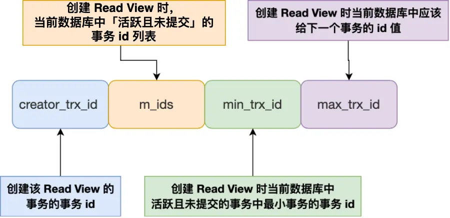 Read View结构